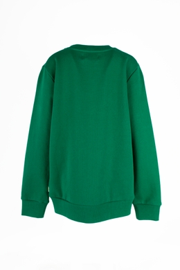 Реглан на мальчика Amsterdam couture зеленый, Зелёный, 34
